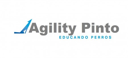 CLUB DE AGILITY PINTO